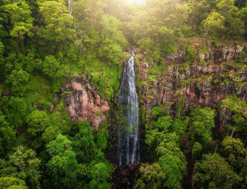Binna Burra Mountain Lodge โกลด์โคสต์ ภายนอก รูปภาพ