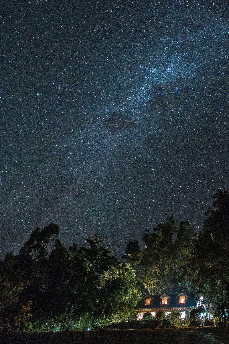 Binna Burra Mountain Lodge โกลด์โคสต์ ภายนอก รูปภาพ