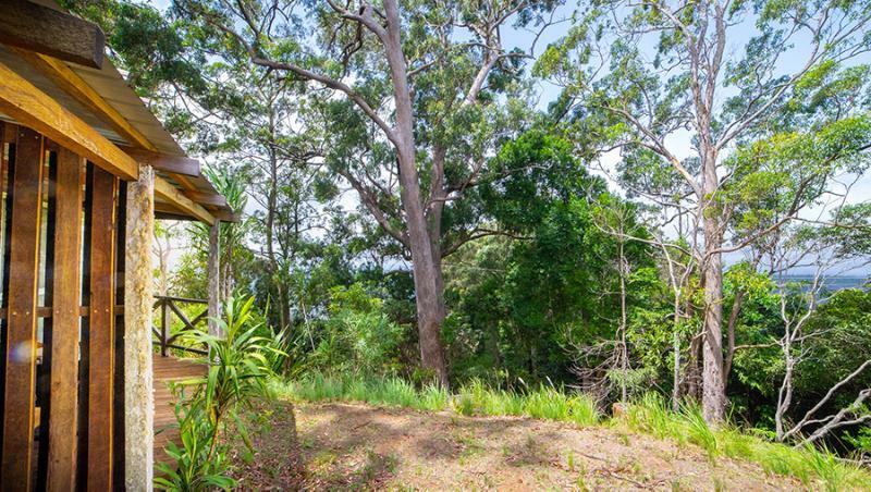 Binna Burra Mountain Lodge โกลด์โคสต์ ภายนอก รูปภาพ